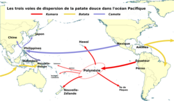 World map showing the spread of sweet potatoes