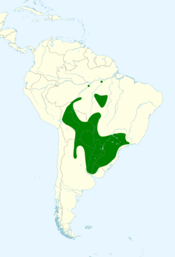 Cyanocorax chrysops map.svg