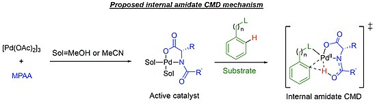 Proposed mechanism R.jpg