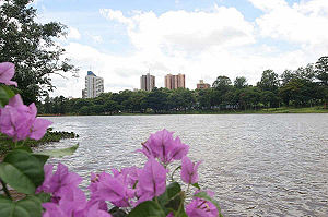 Lago - Paraguay.jpg