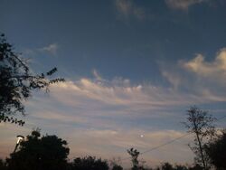 Cirrus floccus with virga 001.jpg