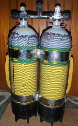 Two 12-litre steel cylinders connected by an isolation manifold and two stainless steel tank bands, with black plastic tank boots