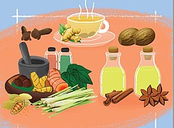 Jamu dan bahan-bahannya.jpg