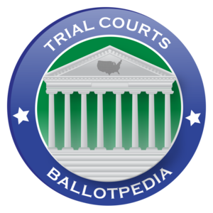 Local trial court judicial elections, 2018