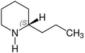 (+)-Coniine