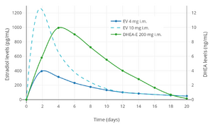 Estradiol and DHEA levels after a single intramuscular injection of Gynodian Depot (4 mg estradiol valerate, 200 mg prasterone enanthate in oil) or Primogyn Depot (10 mg estradiol valerate in oil) in women.[91][86][92] Assays were performed using RIA.[86][92] Sources were Düsterberg & Wendt (1983) and Rauramo et al. (1980).[91][86][92]