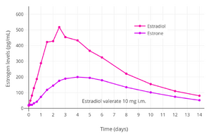 Estrogen levels after a single intramuscular injection of 10 mg estradiol valerate in oil in 24 postmenopausal women.[7] Determinations were made for both Progynon Depot 10 and Estradiol Depot 10, for a total of 48 measurements per point.[7] Assays were performed using GC/MS-NCI/SIM.[7] Source was Schug et al. (2012).[7]