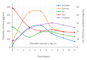 Hormone levels after a single intramuscular injection of 5 mg estradiol valerate in oil in 17 postmenopausal women.[88] Assays were performed using EIA.[88] Estrone levels were likely overestimated, possibly due to cross reactivity of the assay with estrogen conjugates.[7] Source was Göretzlehner et al. (2002).[88]