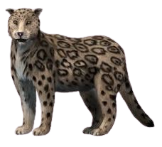 Panthera blytheae NT.png