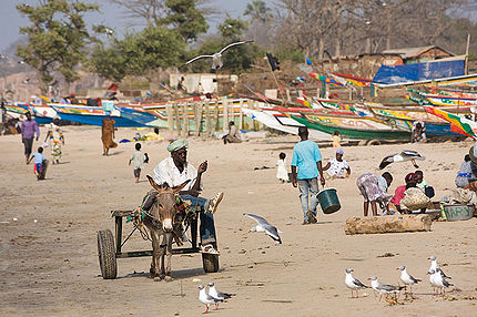 Gambia beach.jpg