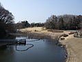 Parque Museo Natural de Ibaraki en Bandō.