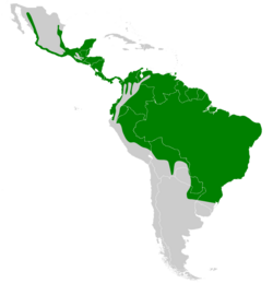 Dryocopus lineatus map.svg