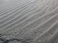 Windrippel b76 b.jpg