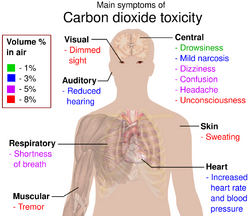 Diagram of the upper human body with callouts naming the symptoms that affect different parts of the body.