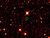 PIA14405-full crop.jpg