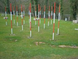 A grass field with 16 white-red-white-red poles spaced in diagonal lines, several plus-shaped stone blocks behind them, and a road is visible behind trees in the background