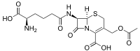 Cephalosporin C.svg