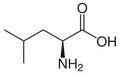L-Leucine (Leu / L)