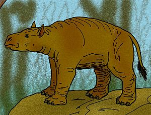 Carodnia vieirai.JPG