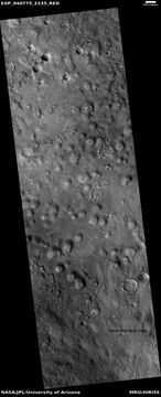Large field of cones that may be mud volcanoes, as seen by HiRISE under HiWish program