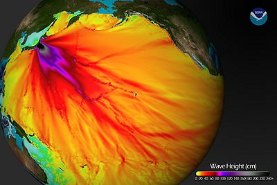 Tsunami Wave Height Pacific.jpg