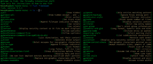 Fish shell 3.3.1 screenshot.png