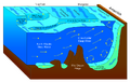 Antarctic bottom water