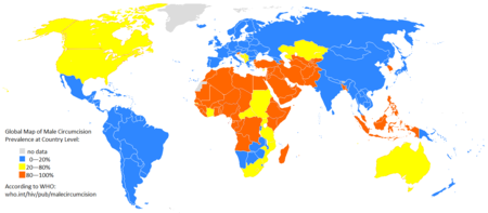 A global map of male circumcision prevalence at the country level.