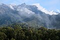 Rainforest in Borneo