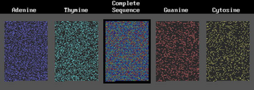 PMC5307875 40659 2017 112 Fig4 HTML.png