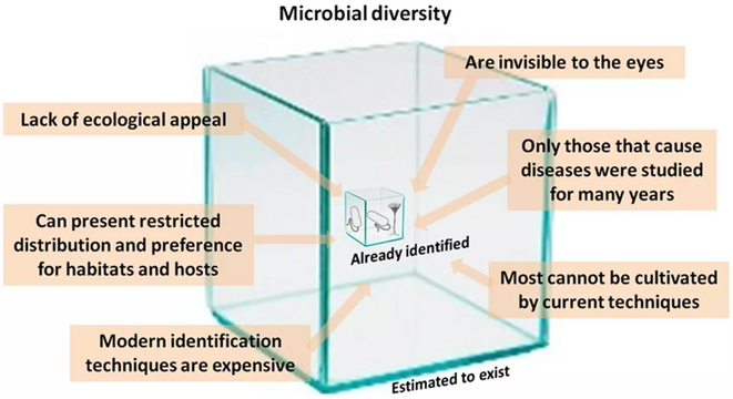 Microbial diversity Comparative representation of the known and estimated (small box) and the yet unknown (large box) microbial diversity, which applies to both marine and terrestrial microorganisms. The text boxes refer to factors that adversely affect the knowledge of the microbial diversity that exists on the planet.[275]