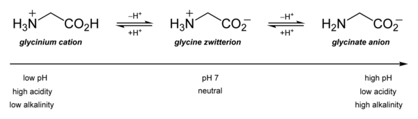 Glycine-protonation-states-2D-skeletal.png
