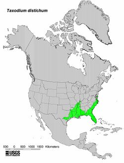 Baldcypress range.jpg