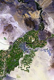 Top-down view of green agricultural lands surrounded by desert