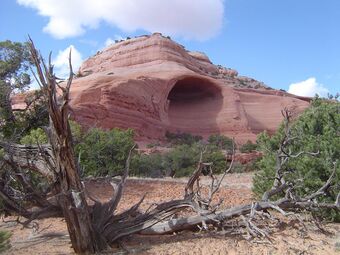 Alcove in the Navajo Sandstone