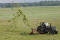 Artificially grazed meadow