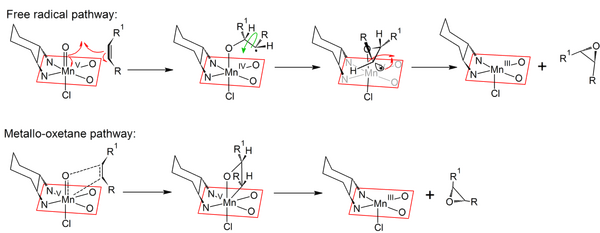 Mechanisms of the free-radical and metallo-oxetane pathways of the Jacobsen-Katsuki reaction
