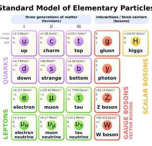 A table with four rows and four columns, with each cell containing a particle identifier