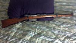 Argentine Cavalry Carbine.jpg