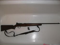 Remington521Rifle.jpg