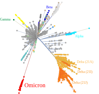 Omicron variant and other major or previous variants of concern of SARS-CoV-2 depicted in a tree scaled radially by genetic distance, derived from Nextstrain on 1 December 2021