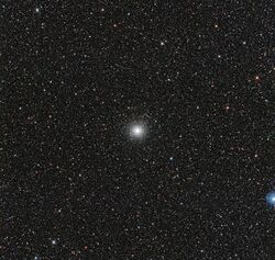 A small fuzzy white ball in the center of a speckled black backdrop