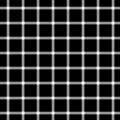 Grid illusion.svg