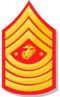 371px-Marine Corp Sergeant Major of the Marine Corp.jpg