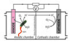 BPV system operation