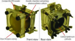 BPV system employing whole cyanobacteria