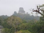 Tikal1.jpg
