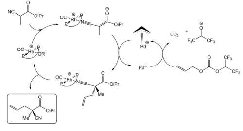 Dual transition metals catalytic cycles proposed by Sawamura et al.