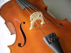 Looking down on the top of a small wooden boat-like shape. Four metal strings run along the middle of the shape down its long axis. The strings pass over a small raised wooden bridge positioned in the centre of the shape so that the strings sit above the deck of the cello.