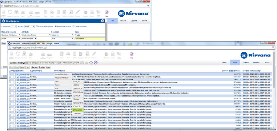 Nirvana Web Browser Graphical User Interface